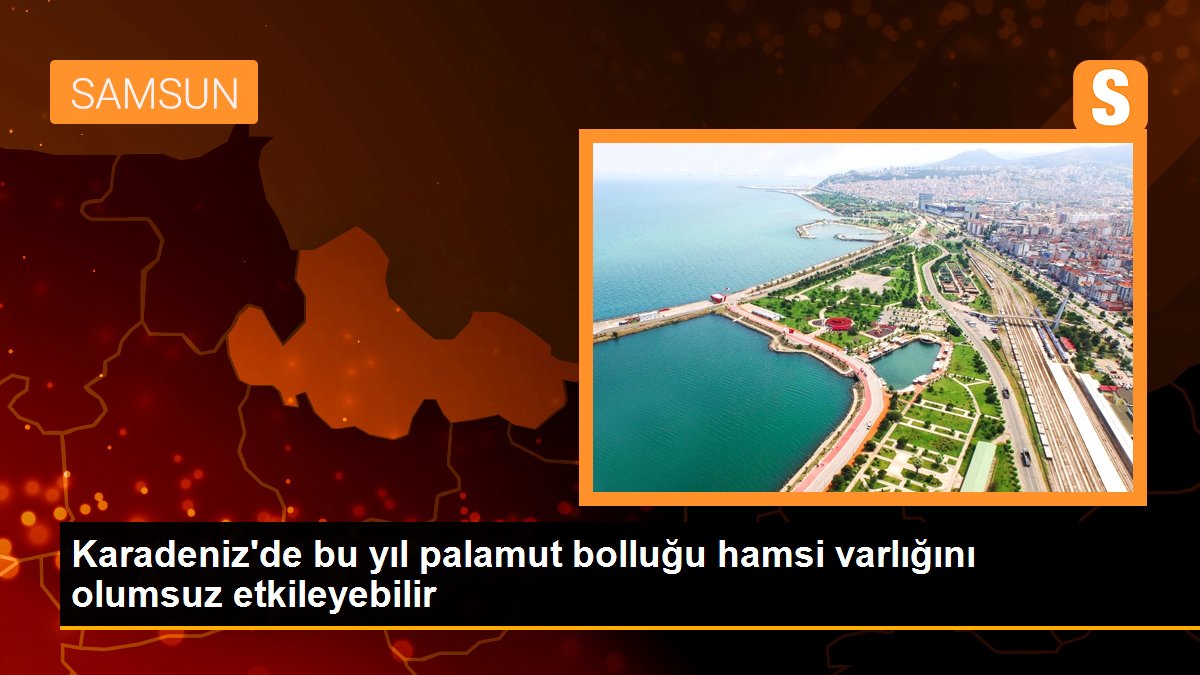karadenizde-bu-yil-palamut-bollugu-hamsi-varligini-olumsuz-etkileyebilir-OJEpIFRn.jpg