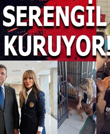 WhatsApp Image 2025-01-24 at 17.51.17