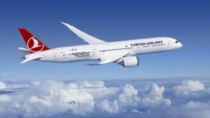 thy1jpg-Fw1iBDFWR0KFvcwO360erQ