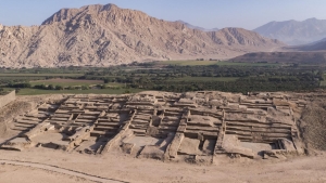 17518863141888098412