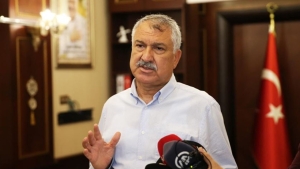 17520484081837661381