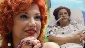 17520561341355975254