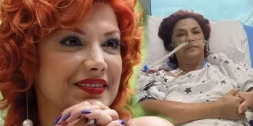 17520561341355975254