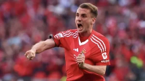 68637bba7ee16282__w1200xh673