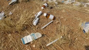 687e985b97590634__w1200xh675 (1)