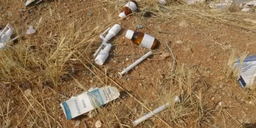 687e985b97590634__w1200xh675 (1)