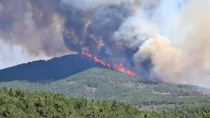 aw505514-05-qu0u_cover