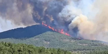 aw505514-05-qu0u_cover