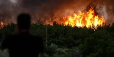 izmir-cesme-deki-yangin-kontrol-altina-alindi-1751614139-806_large