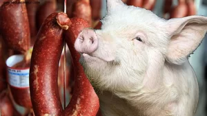 sahtekar-firmalarin-listesi-guncellendi-sucukta-domuz-eti-kullanmislar-7462