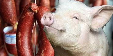 sahtekar-firmalarin-listesi-guncellendi-sucukta-domuz-eti-kullanmislar-7462