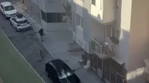 68be91a326922955__w1200xh668