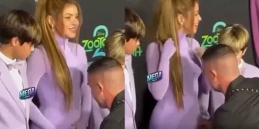 17640602681776034039