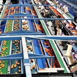 ihrac-gidalarimiz-da-abye-giremiyor-4unden-3u-riskli-ct34