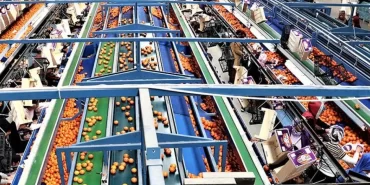 ihrac-gidalarimiz-da-abye-giremiyor-4unden-3u-riskli-ct34