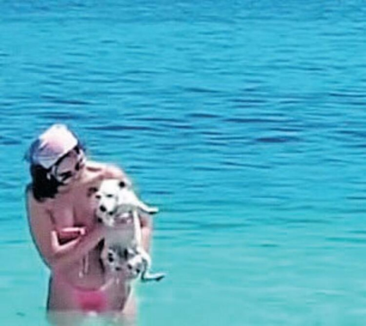 Volkan Demirel'in köpeğini tatile götürdü