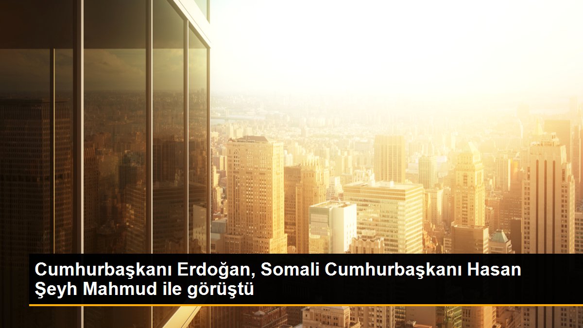 cumhurbaskani-erdogan-somali-cumhurbaskani-hasan-seyh-mahmud-ile-gorustu-dMZAEEZb.jpg