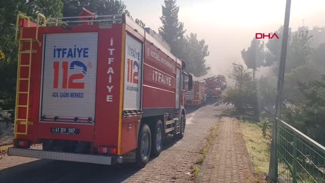 havadaki-yanik-kokusu-itfaiyeyi-seferber-etti-CLVpNljw.jpg