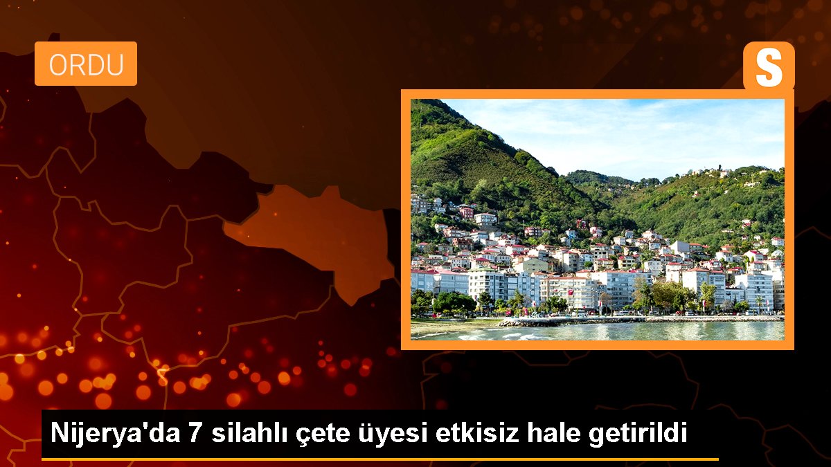 nijeryada-7-silahli-cete-uyesi-etkisiz-hale-getirildi-7dsrbqez.jpg