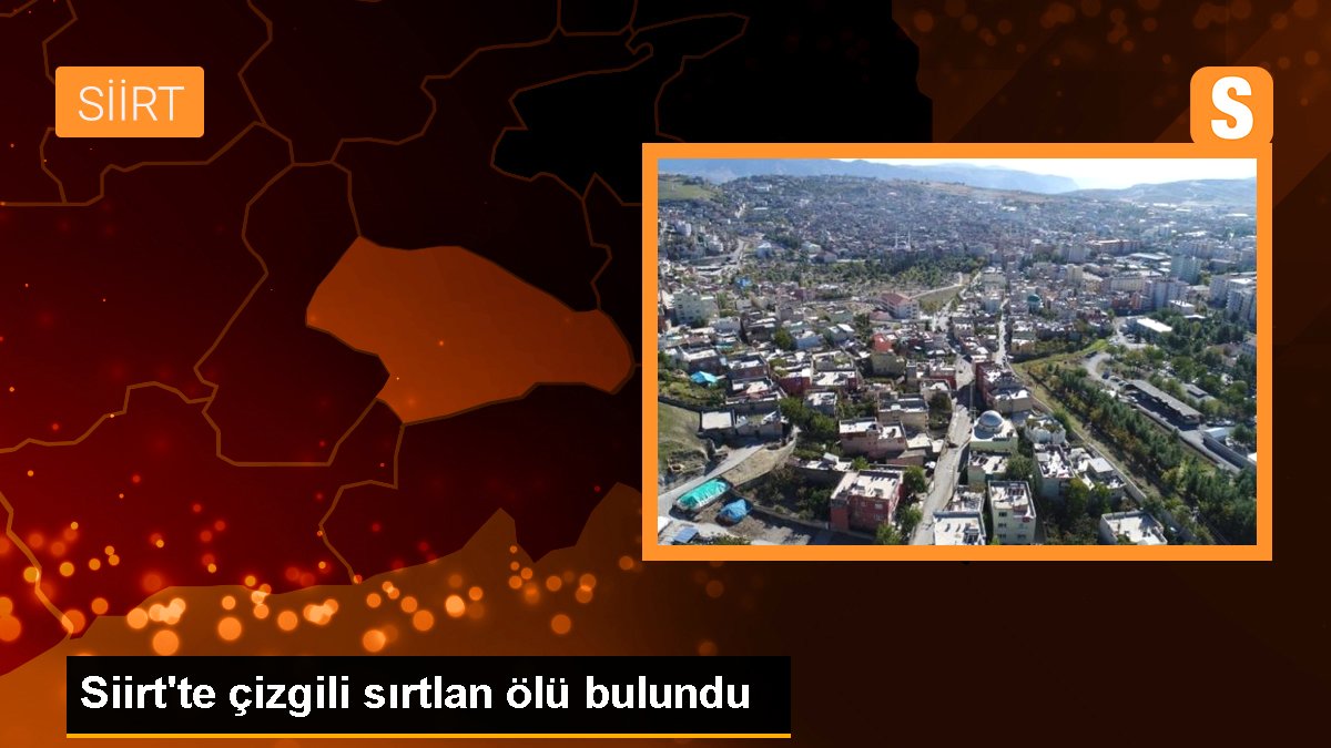 siirtte-cizgili-sirtlan-olu-bulundu-qBMG4kqc.jpg
