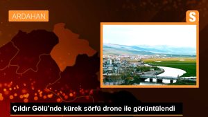 cildir-golunde-kurek-sorfu-drone-ile-goruntulendi-zh3AMBMP.jpg