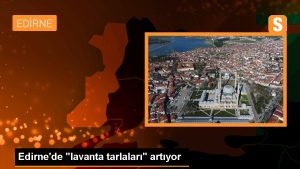 edirnede-lavanta-tarlalari-artiyor-XTI5DhHl.jpg
