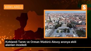 kirklareli-tarim-ve-orman-muduru-aksoy-aronya-ekili-alanlari-inceledi-j3gmEesz.jpg