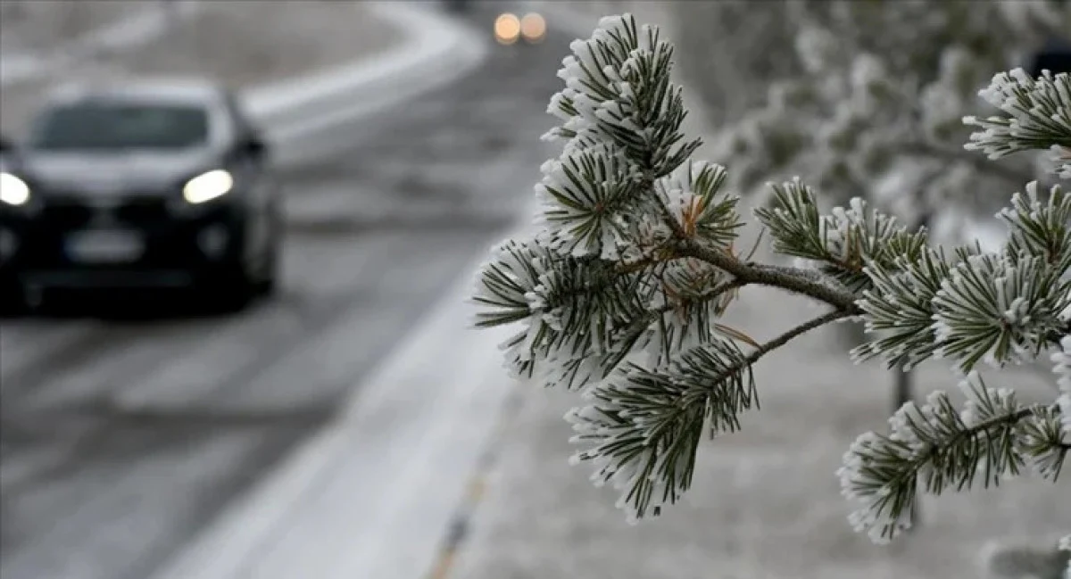 670f583dc76d6420__w1200xh649