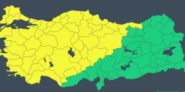 673ea387613a2204__w1200xh516