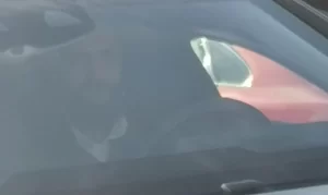 675b2e4656808900__w1200xh1600