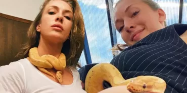 676d33a0815c3941882ccb3d