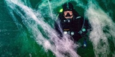 67762c72be3ef881__w1200xh900