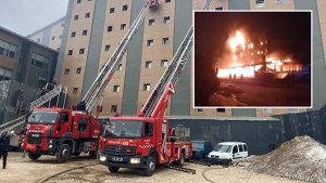 resized_051ac-1b26cbb0220250327t093521