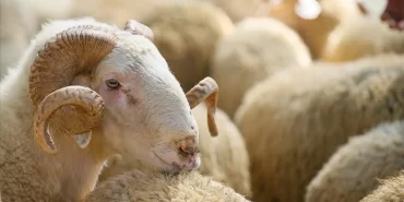 68072f7c782365f6b486ce49