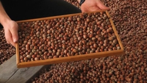 6830504dc24c1fc2469fe424