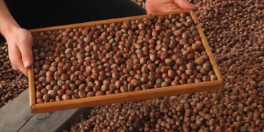 6830504dc24c1fc2469fe424