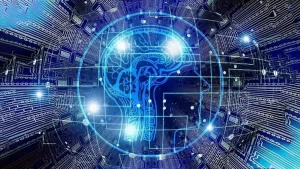 6830504dc24c1fc2469fe424