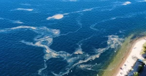 istanbul-kinaliada-aciklarinda-musilaj-alarmi-1746723825-304_large