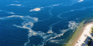 istanbul-kinaliada-aciklarinda-musilaj-alarmi-1746723825-304_large