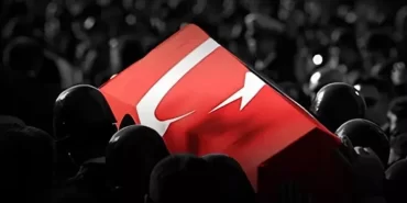 17518800331354536607