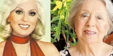 17521570061730367083