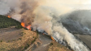 17524826981499301497