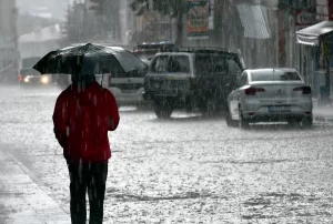 68765c2c62a24929__w1200xh809