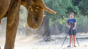 6881f380aeab2893__w1200xh675