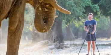 6881f380aeab2893__w1200xh675