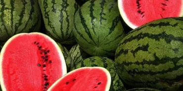 aradaki-fark-saskina-ugratti-karpuz-halde-1-markette-14-lira-pxfd