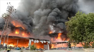 thumbs-b-c-fbdb6e759b2b090a6fc110b0de02296f