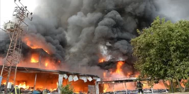 thumbs-b-c-fbdb6e759b2b090a6fc110b0de02296f