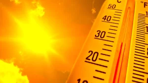 avrupada-asiri-sicaklar-nedeniyle-binlerce-kisi-hayatini-kaybetti