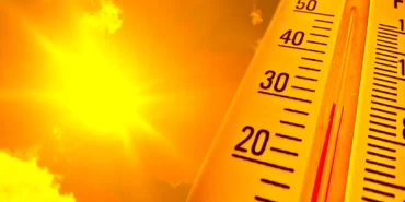 avrupada-asiri-sicaklar-nedeniyle-binlerce-kisi-hayatini-kaybetti